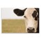 Stupell Industries Rustic Cow Stare Wall Plaque, design by J:L Design